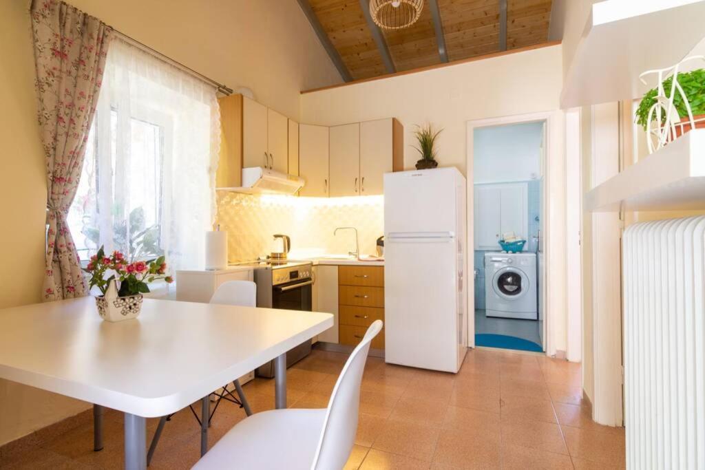 Thanos Cottage Vlachopoulátika Kültér fotó